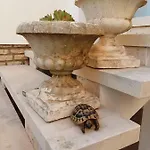 Feodora *